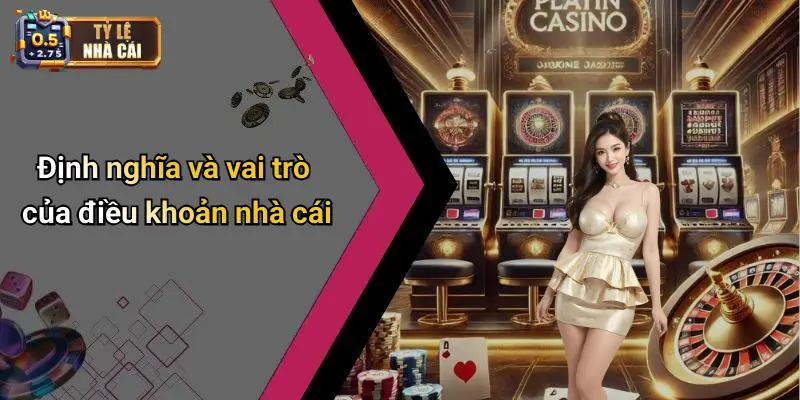 Định nghĩa và vai trò của điều khoản nhà cái