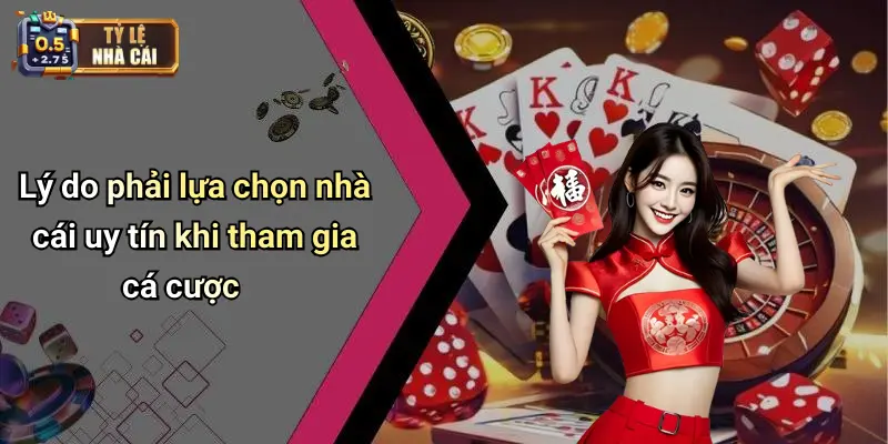 Lý do phải lựa chọn nhà cái uy tín khi tham gia cá cược