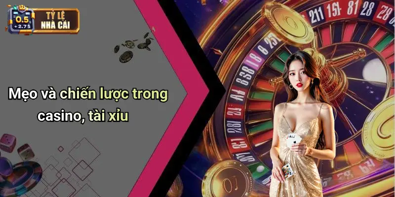 Mẹo và chiến lược trong casino, tài xỉu