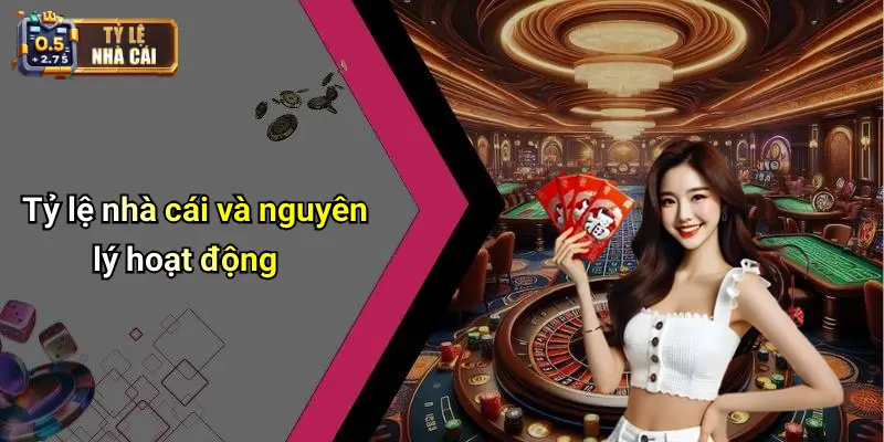 Tỷ lệ nhà cái và nguyên lý hoạt động