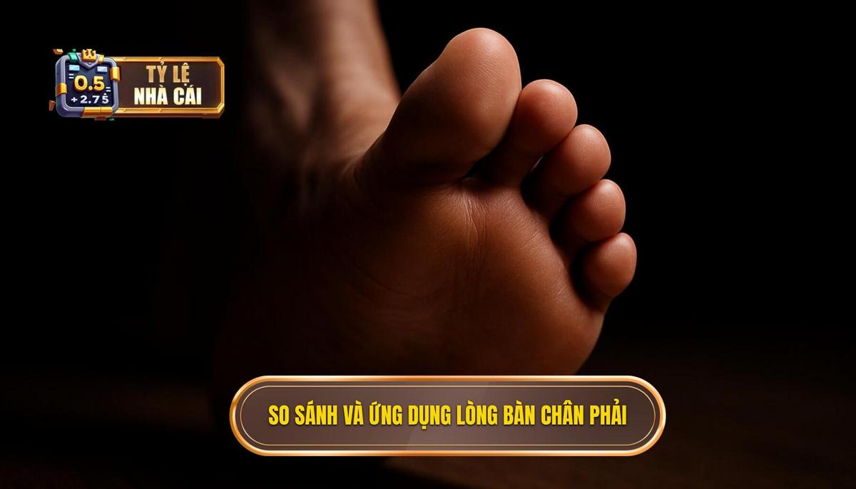 So sánh và Ứng dụng_ Khi nào nên sử dụng Lòng bàn chân phải_