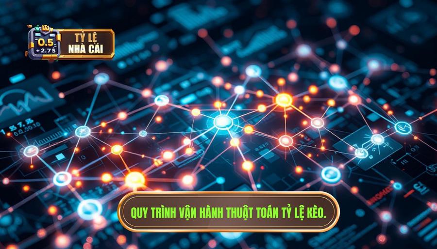 Quy trình vận hành của thuật toán tạo tỷ lệ kèo