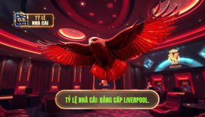 Vì sao Liverpool được gọi là Lữ Đoàn Đỏ? Bí mật sau cái tên